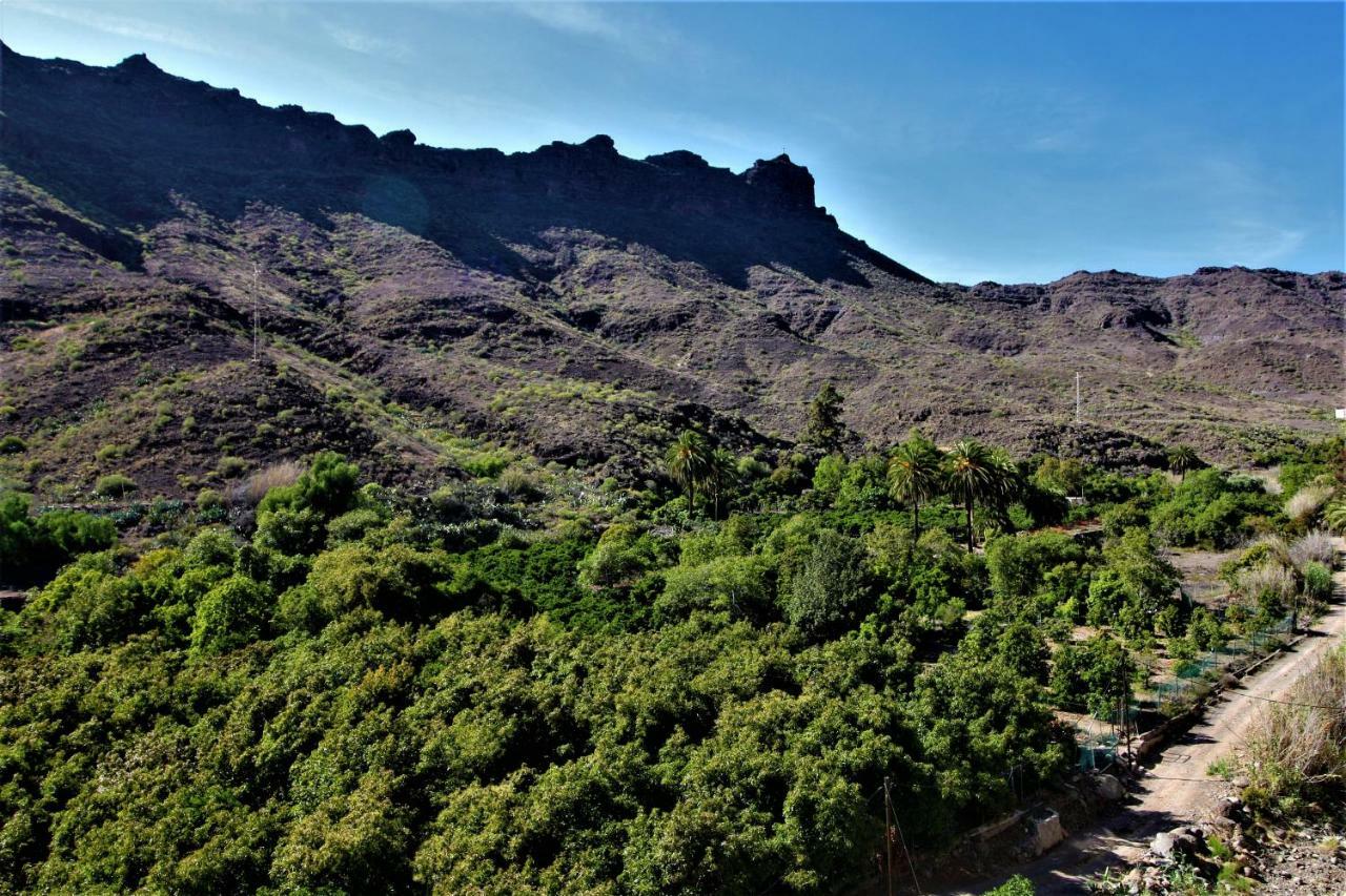 Open Sky Valley * Mogan